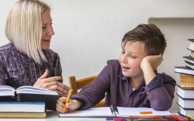 Homework Help Grades 6-12
